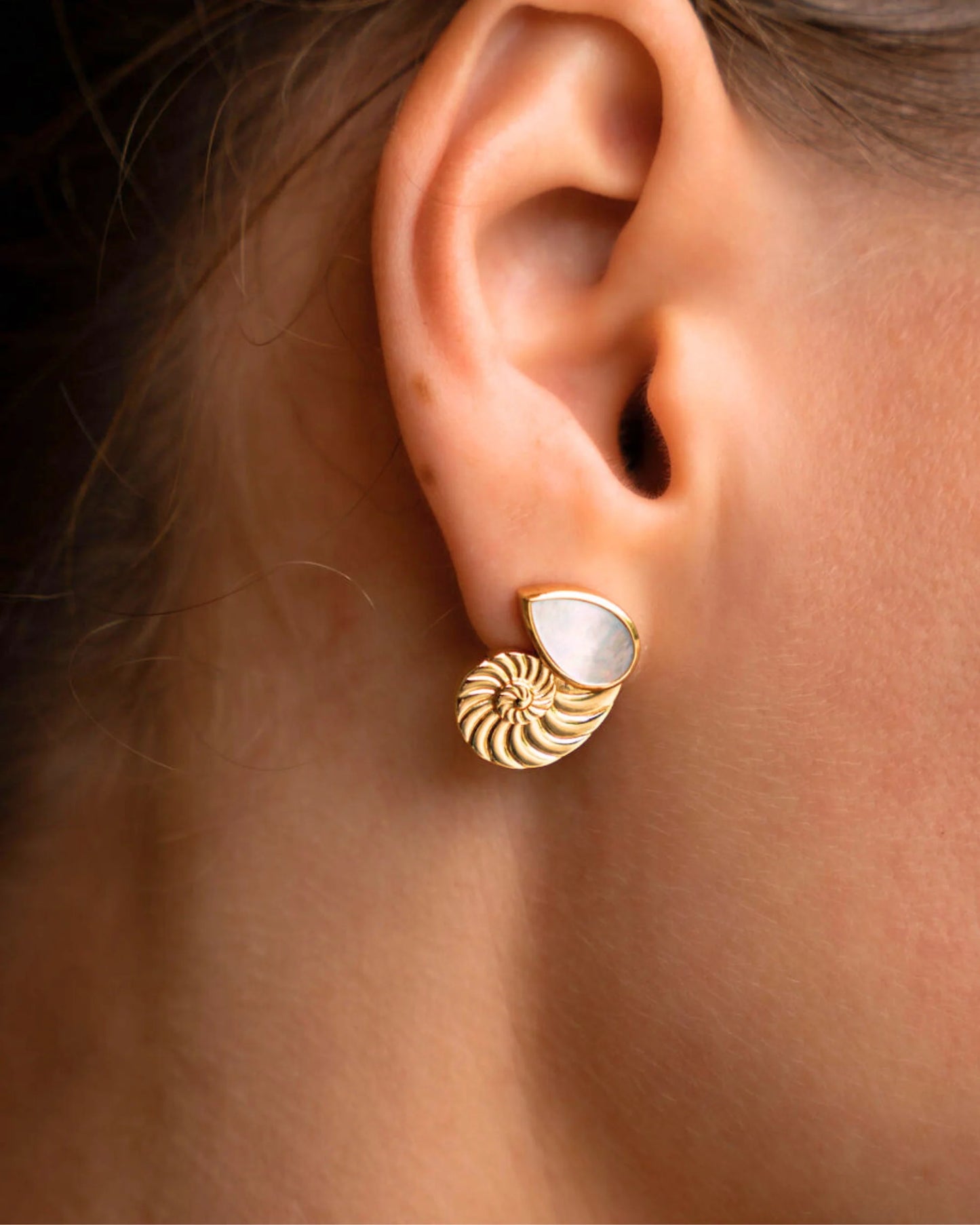 Øredobber Nautilus Seashell Mother of Pearl Stud Earrings