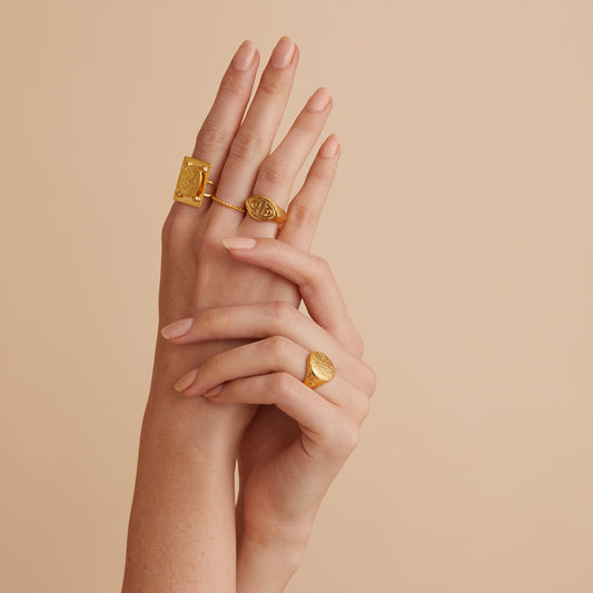 Ring Pegasus Coin
