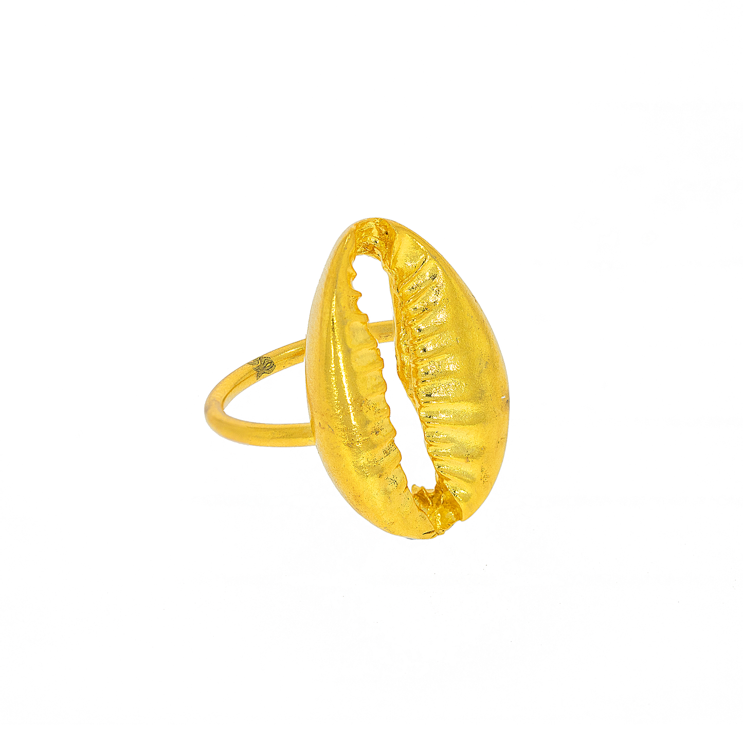 Ring Cowrie Shell